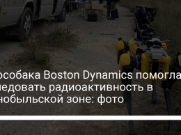 Робособака Boston Dynamics помогла исследовать радиоактивность в Чернобыльской зоне: фото