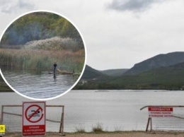 Воду для оккупированного Крыма решили качать из озера для хранения отходов