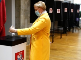 В Литве на парламентских выборах победили консерваторы