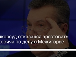 Антикорсуд отказался арестовать Януковича по делу о Межигорье