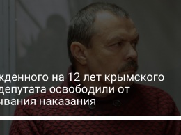 Осужденного на 12 лет крымского экс-депутата освободили от отбывания наказания