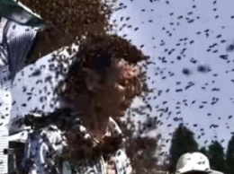 Рекорд Гиннеса: китайца облепили килограммы пчел (видео)