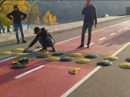 В Киеве установили первый "лежачий полицейский" против велосипедистов