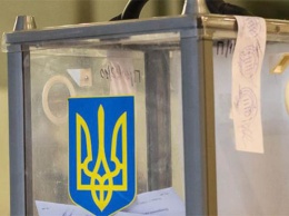 «Голос» требует признать выборов в Василькове недействительными из-за масштабных фальсификаций