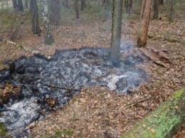 В Запорожской области заживо сожгли мужчину