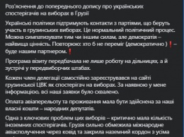 Грузия за день до выборов отменила визит 30 украинских нардепов-наблюдателей за голосованием