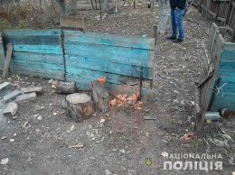 Под Харьковом 9-летнему мальчику в результате взрыва оторвало правую кисть, - ФОТО