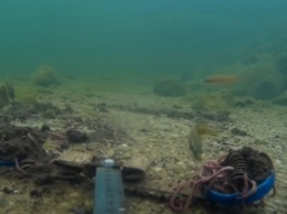 Как обитатели Утлюкского лимана терпение рыбаков испытывают - подводные съемки (видео)