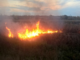 На Николаевщине горела сухая трава, кустарники и камыш на площади 7,7 га (ФОТО)