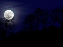 В ночь на воскресенье в небе можно будет увидеть голубую Луну