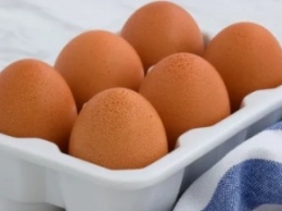 Эксперт рассказал, чем отличаются яйца с белой и коричневой скорлупой
