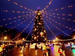 В Днепре горсовет заказал новогоднюю елку для парка Глобы за миллион гривен: какой она будет