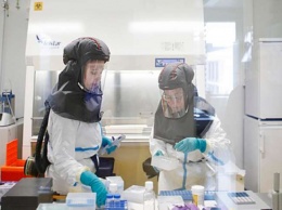 Британские ученые рассчитали реальную летальность от коронавируса