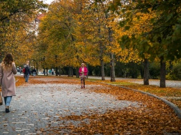 Осенняя Одесса: холодное небо, огненная листва и... одуванчики