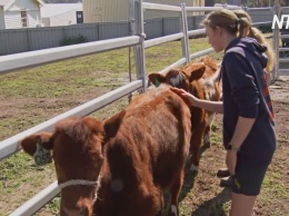 В Австралии детей на школьной ферме учат экономике (видео)