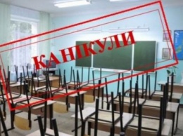 В Минобразования огорчили родителей: двойных зимних каникул для школьников не будет