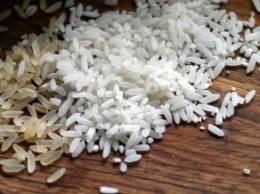 Ученые назвали скрытую опасность риса: как не навредить здоровью