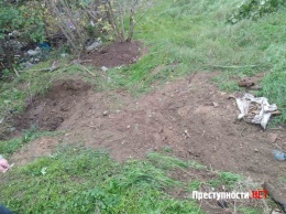 В Николаеве копали яму - нашли мешок с человеческими останками