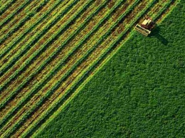 Проект решения КС относительно земли грозит уничтожению агросектора - Всеукраинская Аграрная Рада