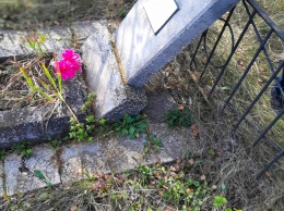 На Николаевщине задержали вандала, который разрушил могилы на кладбище