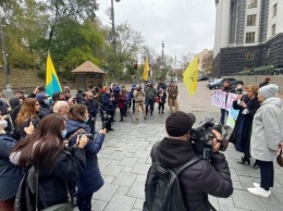 Под Кабмином - пикет против ВНО без украинской литературы