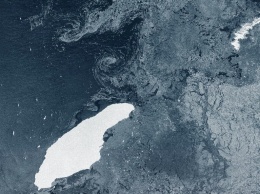 Массивный айсберг угрожает отдаленной колонии пингвинов