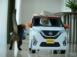 Nissan рекламирует новый кей-кар с помощью котиков