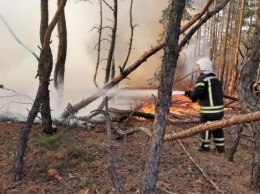 Ущерб от пожаров на Луганщине исчисляется миллиардами гривен, - министр экологии