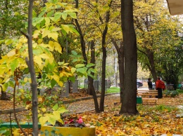 Осень в центре России назвали "украинской"