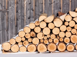 Крымчане могут нарубить дрова для отопления, - Минприроды РК