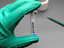 Бесплатный тест на коронавирус: как сделать и куда обращаться