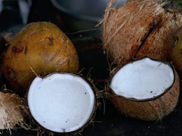 Коронакризис: студентам университета на Бали разрешили платить за обучение кокосами