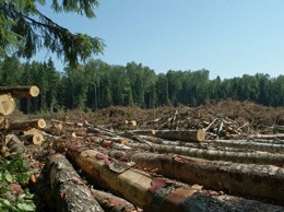 Жители сельских районов рискуют остаться без дров