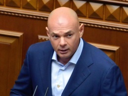 Нардеп Палица: Парламентская республика и двухпалатный парламент - рецепт успеха для Украины