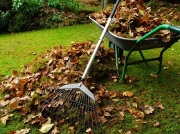 Ноябрь - «сумерки» года: садово-огородные работы