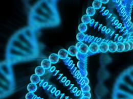 Western Digital и Microsoft будут развивать системы хранения данных на ДНК