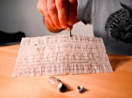 Во Франции найдено 100-летнее послание, отправленное голубиной почтой