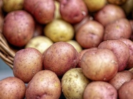 Украина начала импортировать польский картофель