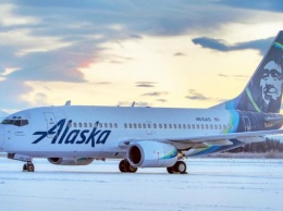 На Аляске самолет столкнулся с бурым медведем