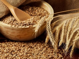 В Крыму рекомендовали для выращивания 14 сортов озимой пшеницы и озимого ячменя