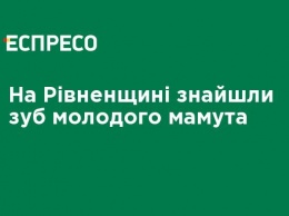 На Ривненщине нашли зуб молодого мамонта