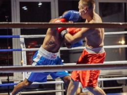 Если драться, то в ринге - в Мелитополе пройдет «Вечер бокса»
