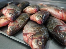 На рынках в Харькове изъяли рыбу