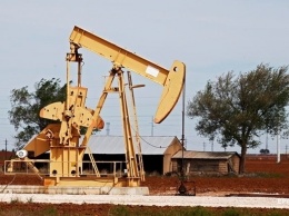 В ОАЭ нашли новые нефтяные месторождения