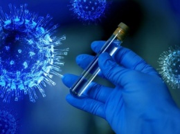 В Индии обещают завершить через месяц-два третью фазу испытания антикоронавирусной вакцины COVAXIN