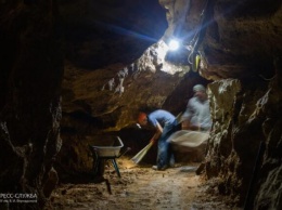 Древний хорек и карликовый бобер: чьи еще останки нашли в пещере «Таврида»