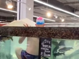 В херсонском супермаркете местный пранкер искупался в аквариуме с живой рыбой