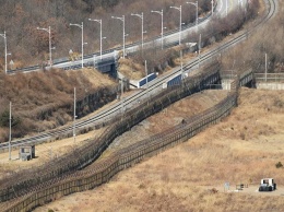 Южнокорейцы не поверили сбежавшему из КНДР гимнасту и потребовали дважды повторить прыжок через 3-метровый забор