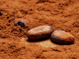 Ученые рассказали о полезном свойстве какао