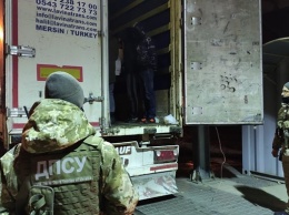 В порту под Одессой задержали 13 нелегальных мигрантов